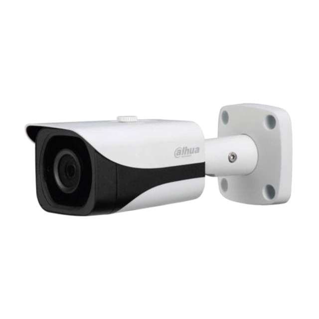 IPC-HFW4830E-S